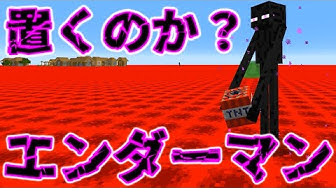 エンダーマン Youtube
