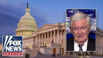 Newt Gingrich sounds OFF on shutdown: Dems will lose this fight