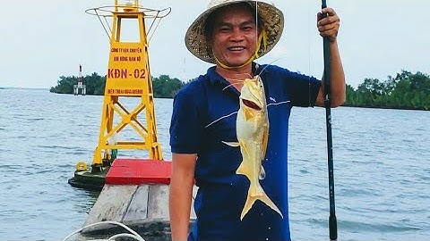 Câu cá và nấu ăn trên thuyền, phần 1 | Cá Ngát, cá Út | Sông Nước Cần Giờ - Châu Huỳnh.