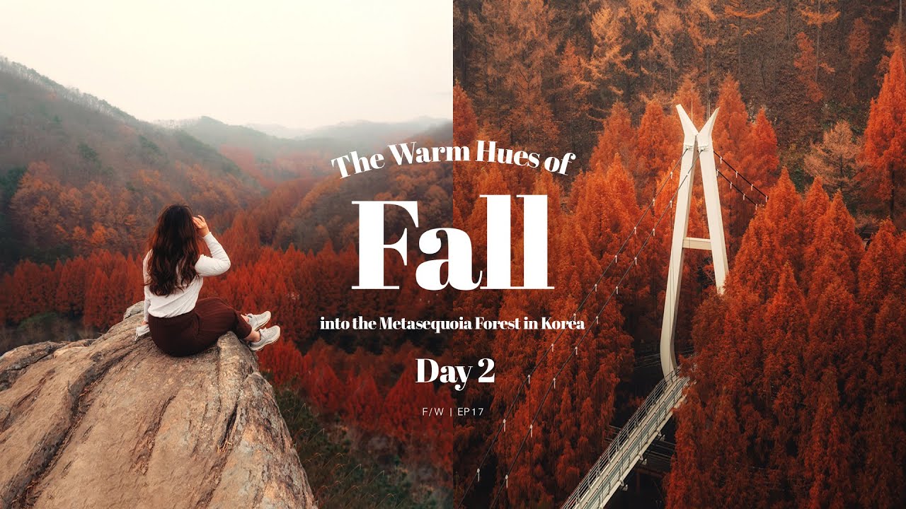 The most scenic Autumn Destination in Korea | Aesthetic Vlog | clarissaacindy