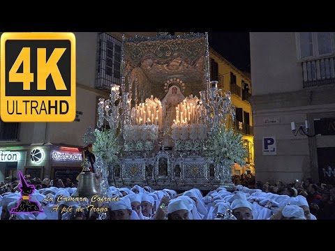 Real, Ilustre y Venerable Hermandad Sacramental de Nuestro Padre Jesús Nazareno de los Pasos en el Monte Calvario y María Santísima del Rocío Coronada