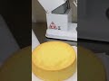 This is a soft cake made by a chef meticulously and deliciously