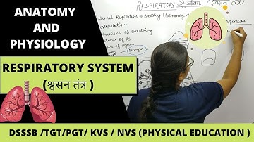 RESPIRATORY SYSTEM AND LUNG CAPACITY || B.P.ED || M.P.ED || PHYSICAL EDUCATION