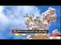 القارئ محمد الليثي سورة الرحمن القمر القارئ محمد الليثي سورة الرحمن القمر