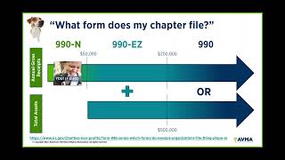 Filing Chapter Taxes