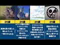 【ワンピース】ベラミーの人生まとめてみた【もうお前を笑わない】