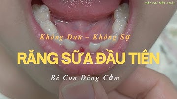 Bé 5 Tuổi Nhổ Chiếc Răng Sữa Đầu Tiên 🦷 | Ba Mẹ Cần Biết Gì?