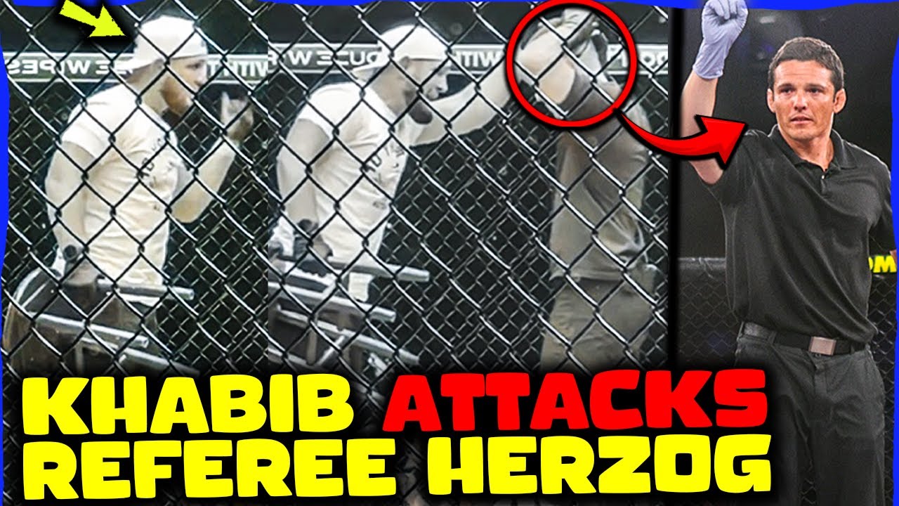 Khabib GETS PHYSICAL With Referee Jason Herzog After Illegal Shots On Teammate (FOOTAGE)