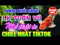 Đỉnh Cao LK Tuấn Vũ Không Lời CHILL NHẤT TIKTOK - Hòa Tấu Guitar Hải Ngoại-NhạcPhòngTrà