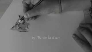 🐯Tiger speed Drawing by Dominika Baum. Speed Tutorial 🐯🐯🐯 screenshot 2