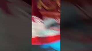 Perjuangan Melintasi Guling Hihihi...tamara Sewaktu Usia 6 Bulan