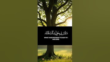 القران الكريم ياسر الدوسري صوت عذب #القرآن #اكسبلور #المصحف #القرآن_الكريم #الرحمن #راحة_نفسية