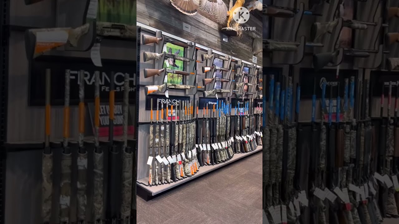 Scheels best hunting guns sale in USA