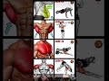Full Body Parts Workout for Strength & Tone – Get Fit Fast!