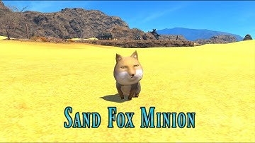 FFXIV: Sand Fox Minion!