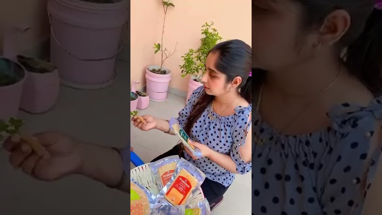 Protein khakra is the new healthy trend 