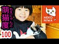 猫庭チャンネル　【みやまちゃん】の巻き
