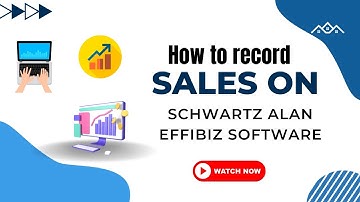 How to record sales on Schwartz Alan EffiBiz Software