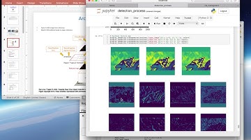Object Classification  and Instance Segmentation Using Mask RCNN