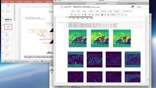 Object Classification  and Instance Segmentation Using Mask RCNN