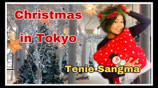 Christmas in Tokyo - Christmas market & holiday Decorations!