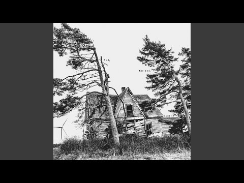 ALEPH - I Should Have Said I Love You