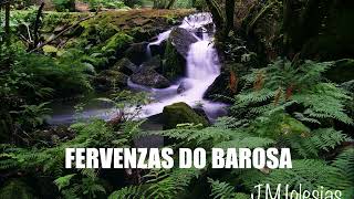 FERVENZAS DO BAROSA (PONTEVEDRA)