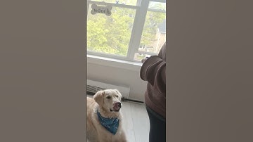 Danielle Nadeau, Lesson 4, Exercise 4.1, shaping a head dip (video 1)