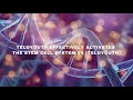 Teloyouth effectively activates the stem cell system v4 teloyouth