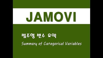 자모비를 활용한 기초통계 - (49) 범주형 변수 요약(Summary of Categorical Variables)
