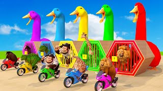 6 Giant Duck Lion Horse run Motorbike Guess The Right Door ESCAPE ROOM CHALLENGE Animals Cage Game