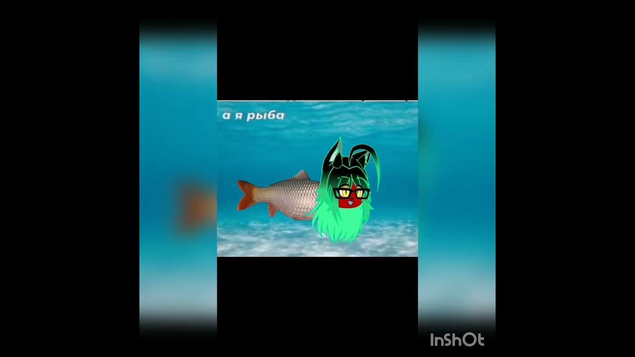 а я рыба я рыба - YouTube