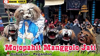 Download Lagu Barongan Mojopahit manggolo jati,lok gubugsari,pegandon MP3
