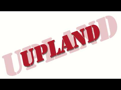 DEERHUNTER UPLAND