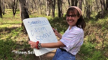 SQUIRREL! Citizen Science with our Favorite Animals!