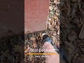 Title | Dash Home Inspection | Call Us (304) 314-3274
