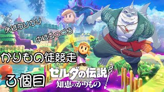 【ゼルダの伝説 知恵のかりもの】 おまえのものはワイのものや！！３個目 【初見プレイ】