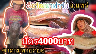 ลือวัฒนาฟาร์มบัตร 4,000 บาทเจ้าของฟาร์มใจดีแถมบ่อปลานิลให้อีก 1 บ่อพี่น้องหาปลาจะได้กำไรกลับบ้าน ลือวัฒนาฟาร์มบัตร 4,000 บาทเจ้าของฟาร์มใจดีแถมบ่อปลานิลให้อีก 1 บ่อพี่น้องหาปลาจะได้กำไรกลับบ้าน