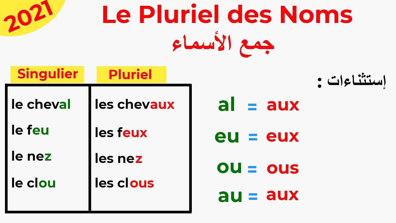 Le Pluriel des noms  شرح جمع الأسماء