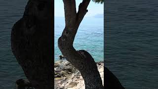Cavtat. Kroatien. Sommer Vibe