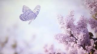 Musik zum Einschlafen und Entspannen LIKE & SHER & SUBSKRIBE🦾🦾🦾🦾🦾😜😜😜😜
