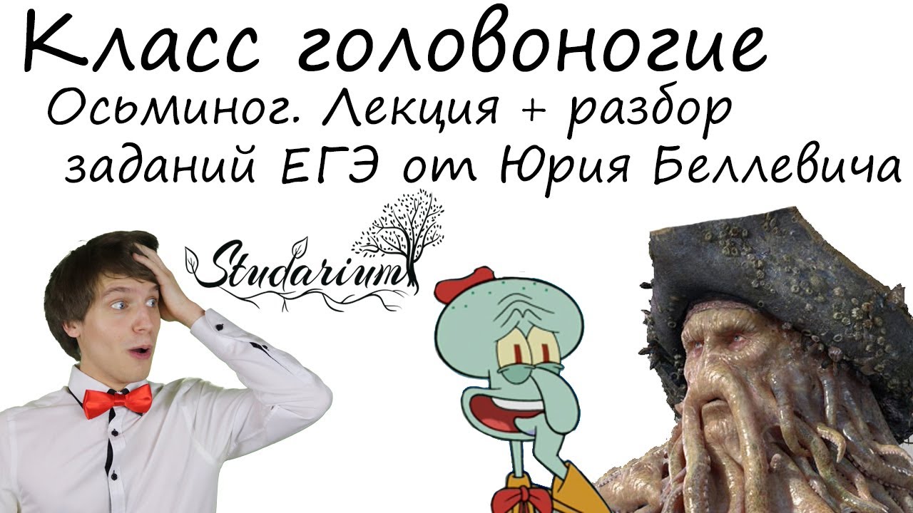 Посты с сайта studarium.ru