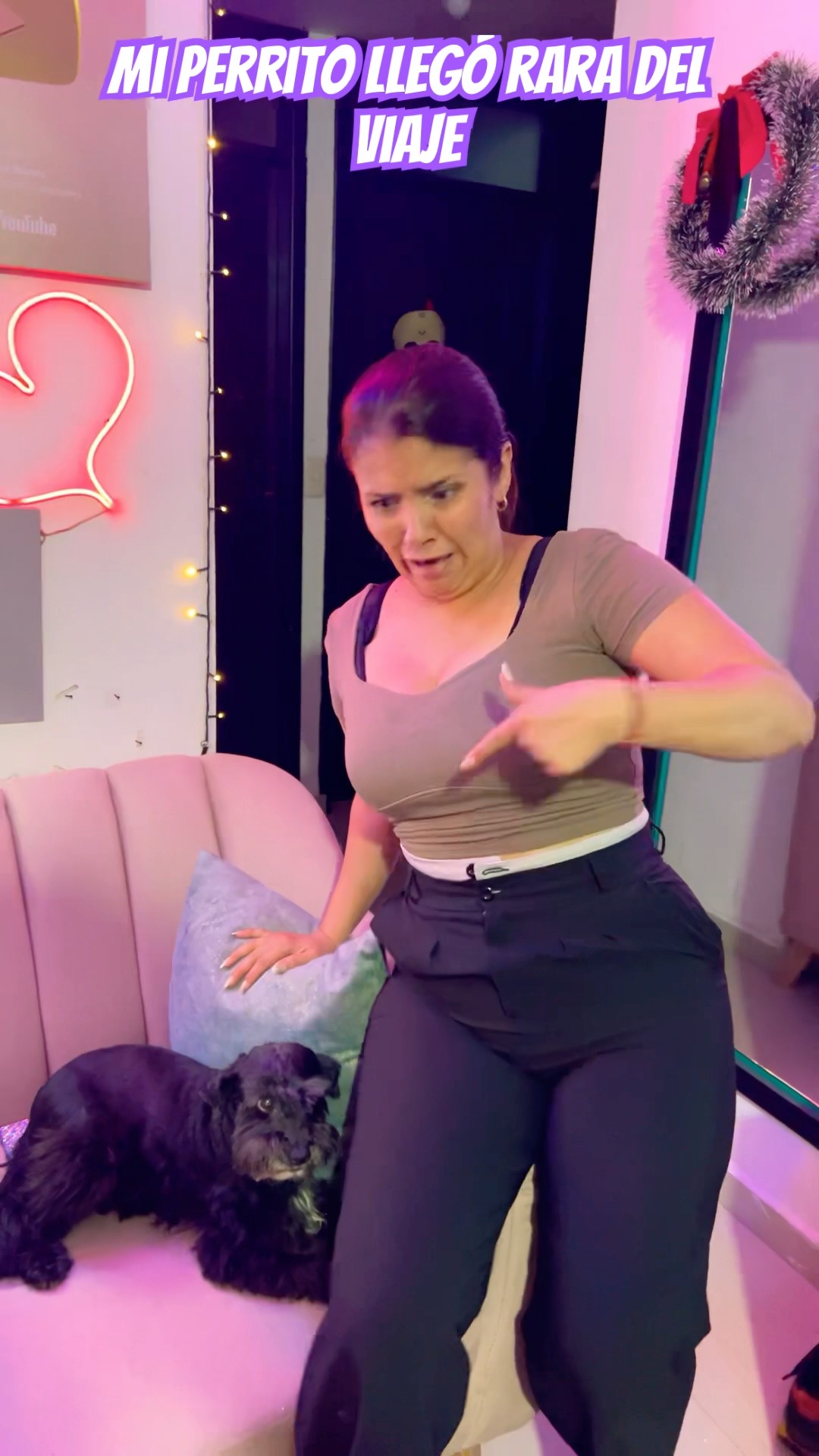 Mi perrita llegó rara del viaje? #humor #cosasdefamilia #comedia #shortviral #youtubeshorts