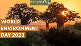 World Environment Day 2023 | Protect our environment🍃 | EcoTraining