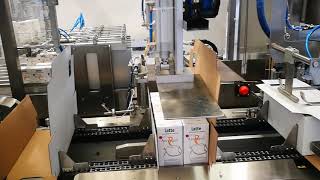 Wrap Around Case Packer W-980: Production Process