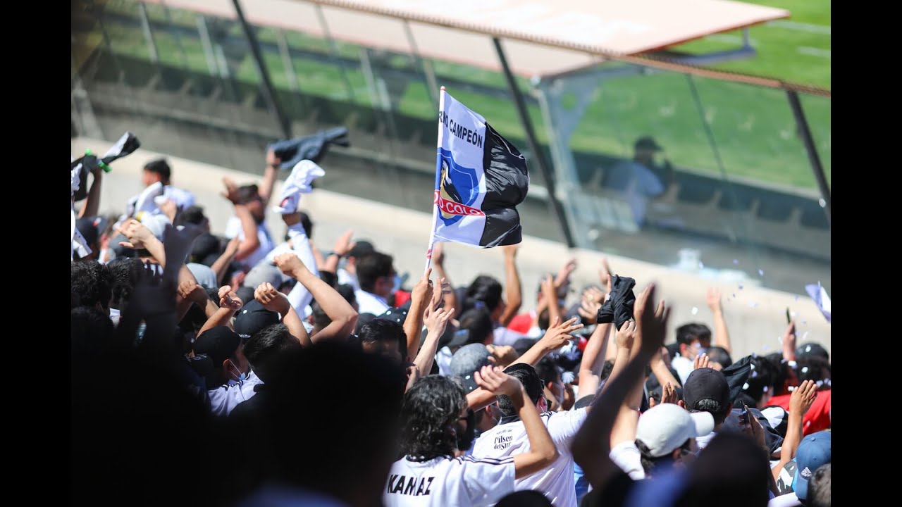 Colo colo vs wanderers en vivo online