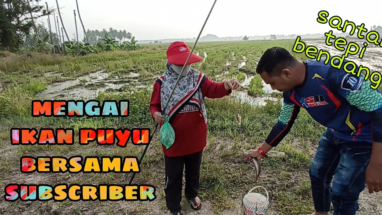 #EP320 Mancing Ikan Puyu bersama Subscribers