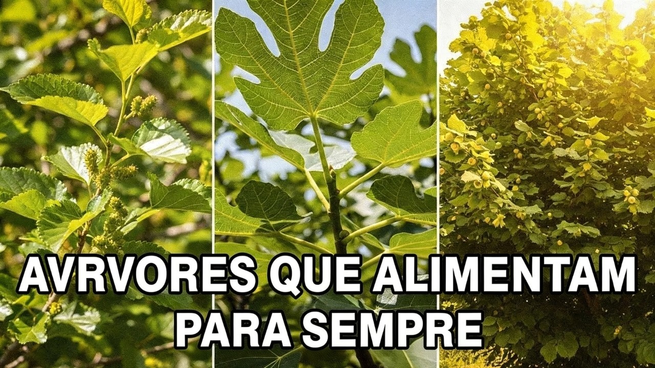 Plante Estas 7 Árvores e Alimente Sua Família PARA SEMPRE!