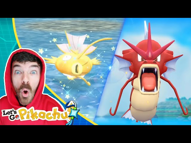 Pokémon Go Shinies - how to catch Shiny Magikarp, Red Gyarados, and what we  know about other Shiny Pokémon • Eurogame…