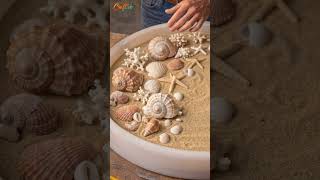 Beautiful DIY Seashell Resin Table #shorts